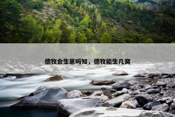 德牧会生崽吗知，德牧能生几窝