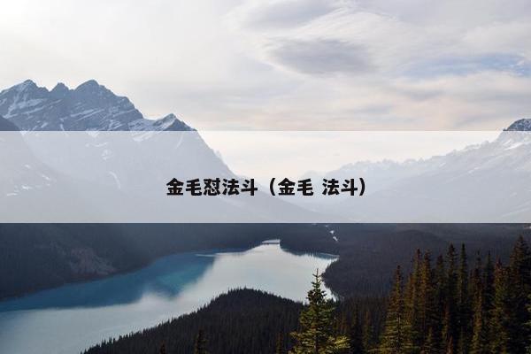 金毛怼法斗（金毛 法斗）