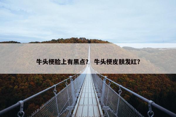 牛头梗脸上有黑点？ 牛头梗皮肤发红？