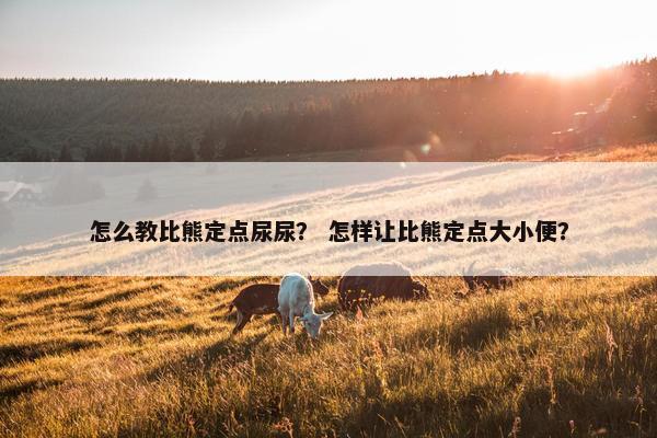 怎么教比熊定点尿尿？ 怎样让比熊定点大小便？