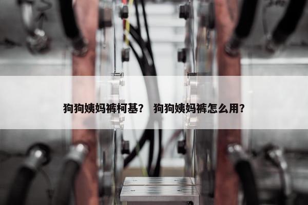 狗狗姨妈裤柯基？ 狗狗姨妈裤怎么用？