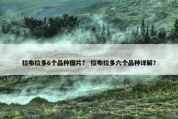 拉布拉多6个品种图片？ 拉布拉多六个品种详解？