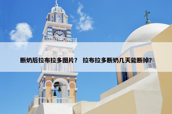 断奶后拉布拉多图片？ 拉布拉多断奶几天能断掉？