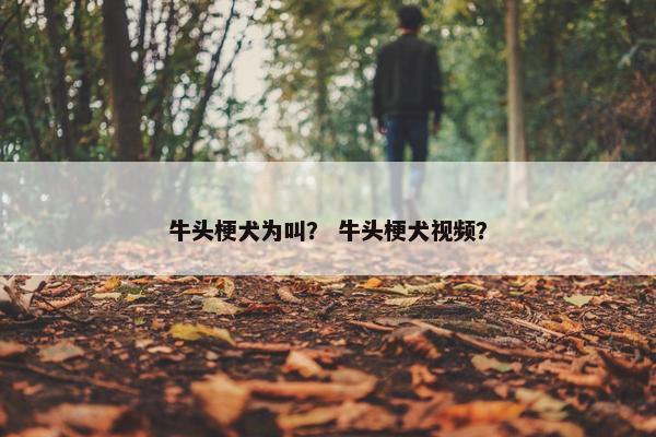 牛头梗犬为叫？ 牛头梗犬视频？