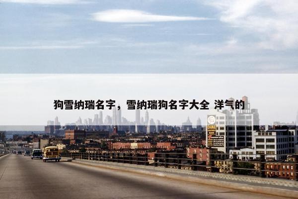 狗雪纳瑞名字，雪纳瑞狗名字大全 洋气的