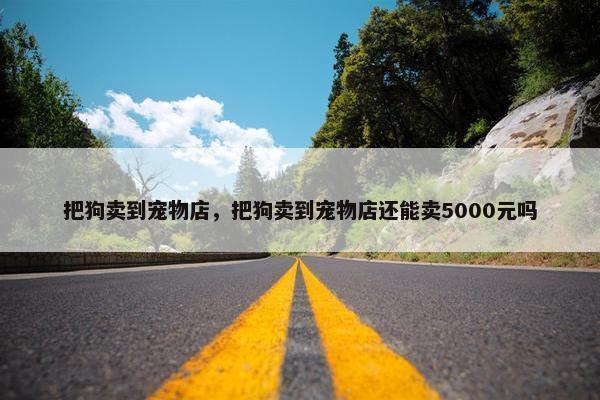 把狗卖到宠物店，把狗卖到宠物店还能卖5000元吗