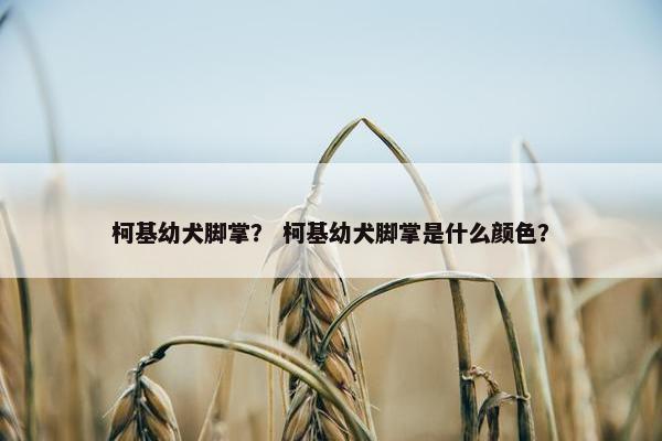 柯基幼犬脚掌？ 柯基幼犬脚掌是什么颜色？