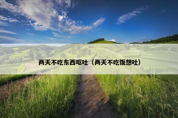 两天不吃东西呕吐（两天不吃饭想吐）