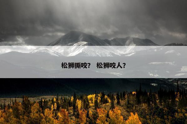 松狮撕咬？ 松狮咬人？