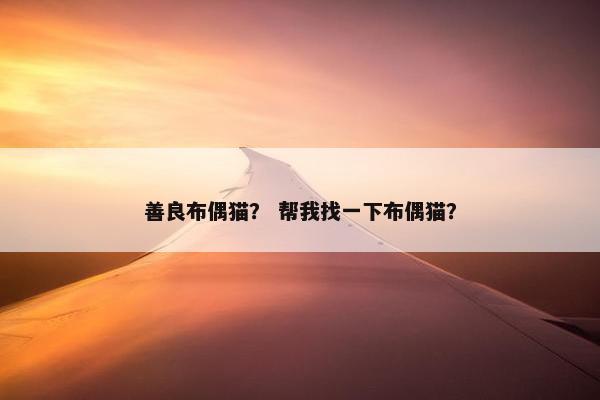 善良布偶猫？ 帮我找一下布偶猫？