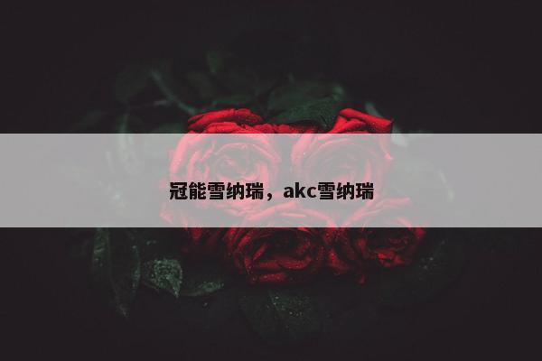 冠能雪纳瑞，akc雪纳瑞