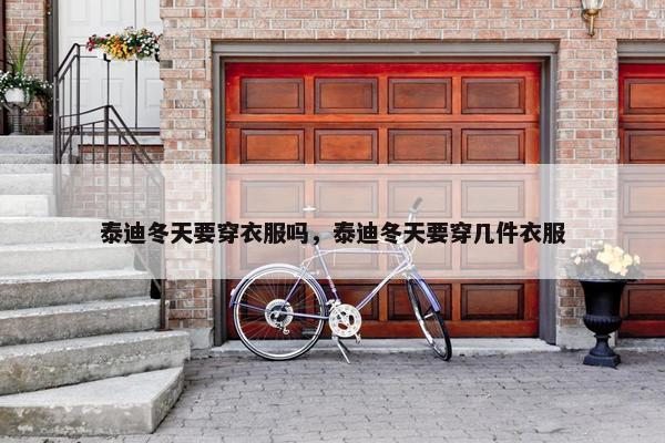 泰迪冬天要穿衣服吗，泰迪冬天要穿几件衣服