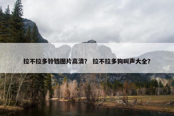 拉不拉多铃铛图片高清？ 拉不拉多狗叫声大全？