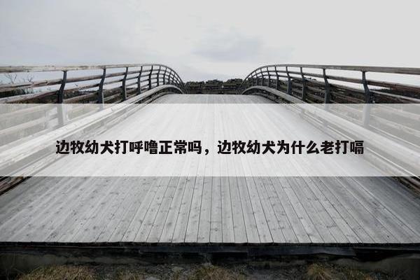 边牧幼犬打呼噜正常吗，边牧幼犬为什么老打嗝