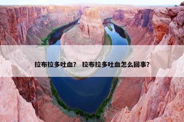 拉布拉多吐血？ 拉布拉多吐血怎么回事？