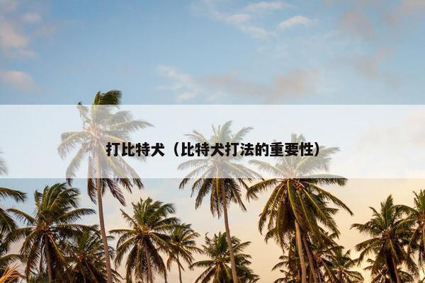 打比特犬（比特犬打法的重要性）