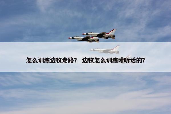 怎么训练边牧走路？ 边牧怎么训练才听话的？