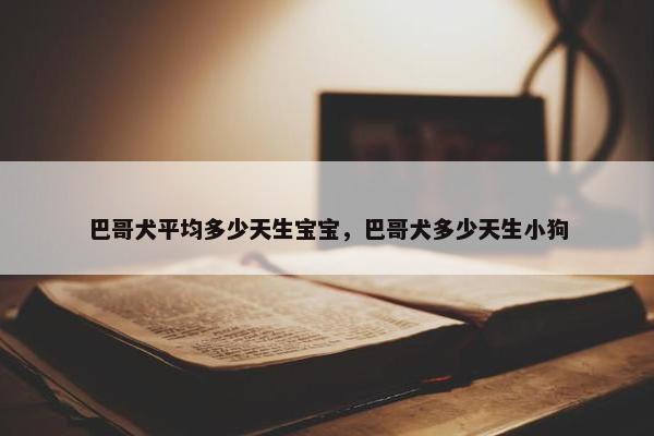 巴哥犬平均多少天生宝宝，巴哥犬多少天生小狗