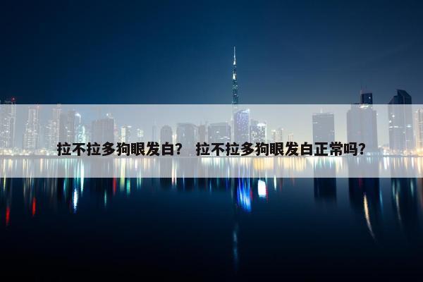 拉不拉多狗眼发白？ 拉不拉多狗眼发白正常吗？
