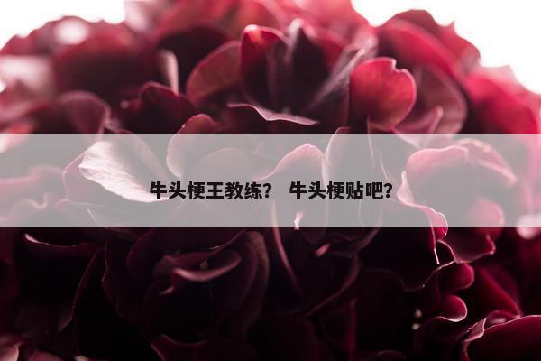 牛头梗王教练？ 牛头梗贴吧？