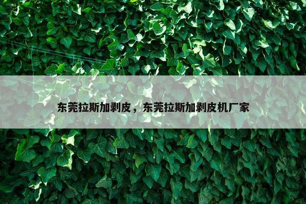 东莞拉斯加剥皮，东莞拉斯加剥皮机厂家