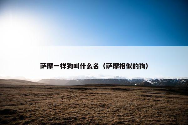 萨摩一样狗叫什么名（萨摩相似的狗）