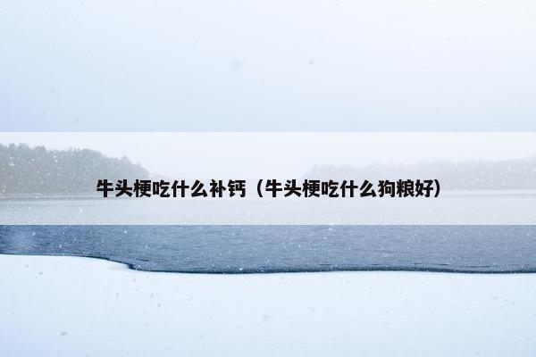 牛头梗吃什么补钙（牛头梗吃什么狗粮好）