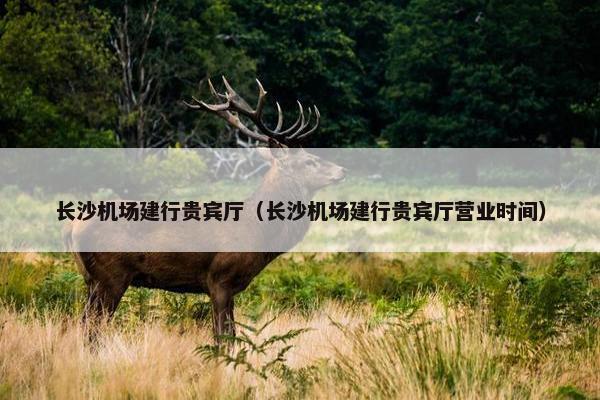 长沙机场建行贵宾厅（长沙机场建行贵宾厅营业时间）
