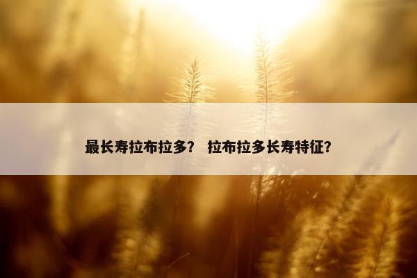最长寿拉布拉多？ 拉布拉多长寿特征？