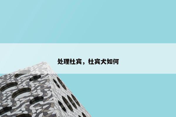 处理杜宾，杜宾犬如何