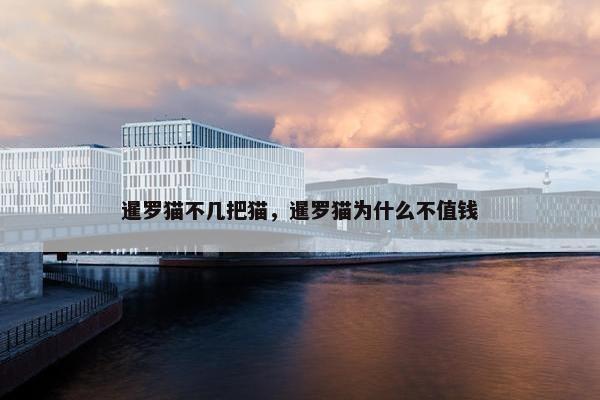 暹罗猫不几把猫，暹罗猫为什么不值钱