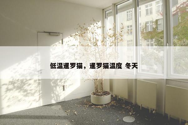 低温暹罗猫，暹罗猫温度 冬天