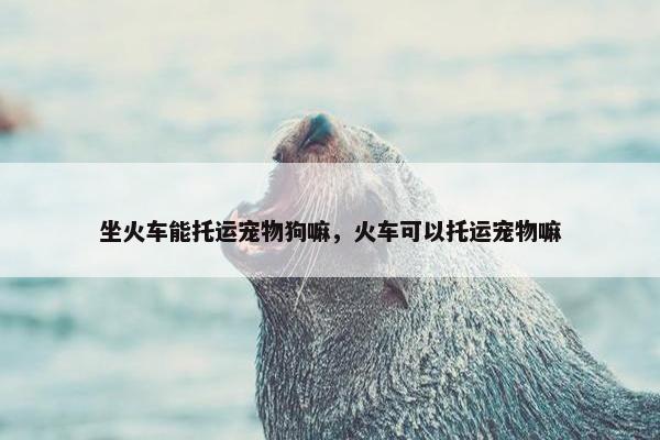 坐火车能托运宠物狗嘛，火车可以托运宠物嘛