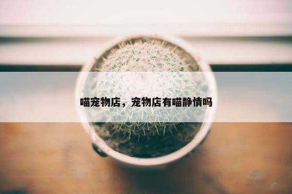 喵宠物店，宠物店有喵静情吗