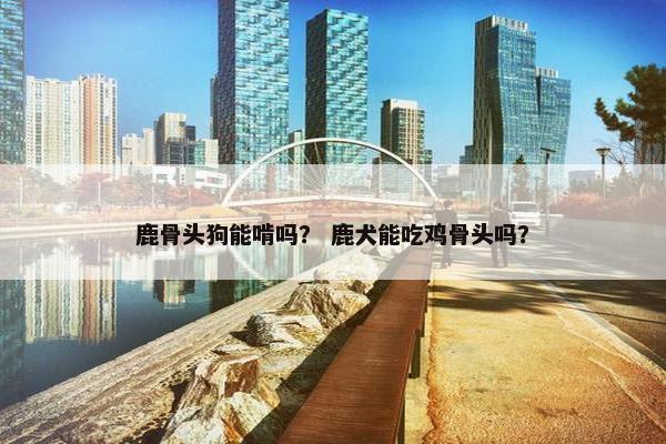 鹿骨头狗能啃吗？ 鹿犬能吃鸡骨头吗？