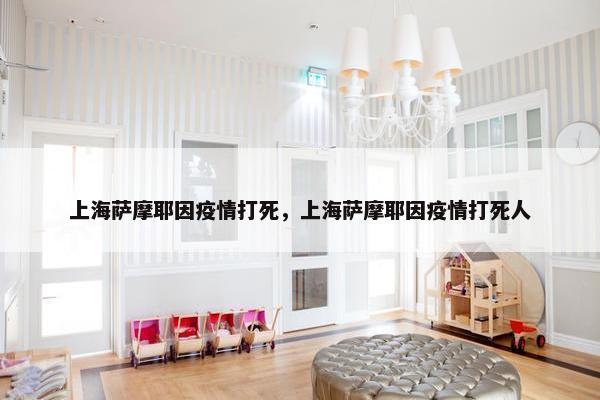 上海萨摩耶因疫情打死，上海萨摩耶因疫情打死人