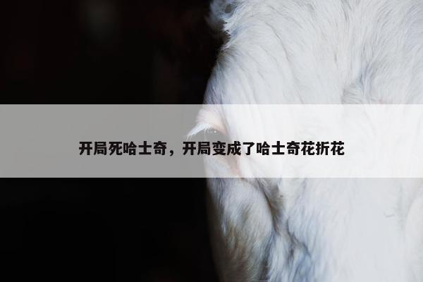 开局死哈士奇，开局变成了哈士奇花折花