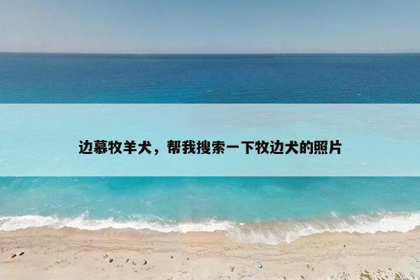 边慕牧羊犬，帮我搜索一下牧边犬的照片