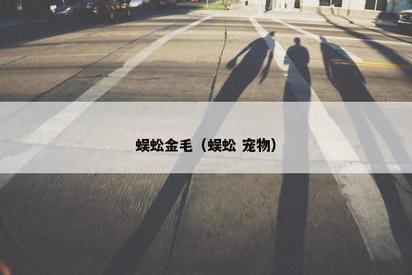 蜈蚣金毛（蜈蚣 宠物）