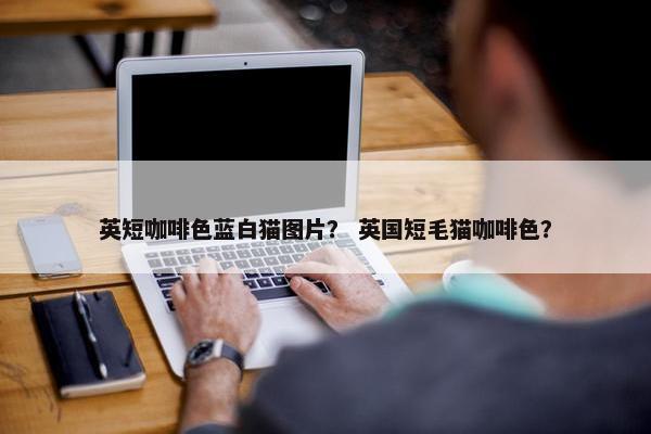 英短咖啡色蓝白猫图片？ 英国短毛猫咖啡色？