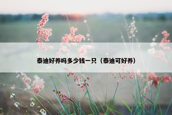 泰迪好养吗多少钱一只（泰迪可好养）