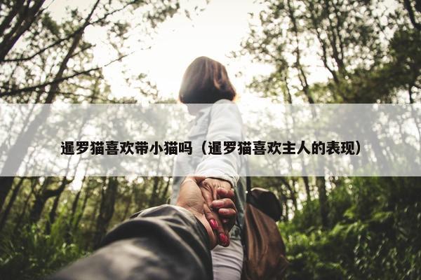 暹罗猫喜欢带小猫吗（暹罗猫喜欢主人的表现）