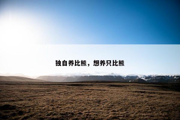 独自养比熊，想养只比熊