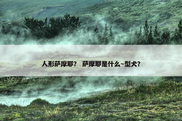 人形萨摩耶？ 萨摩耶是什么～型犬？
