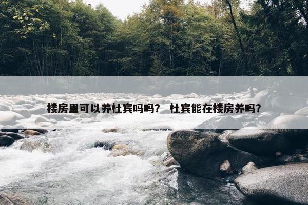 楼房里可以养杜宾吗吗？ 杜宾能在楼房养吗？