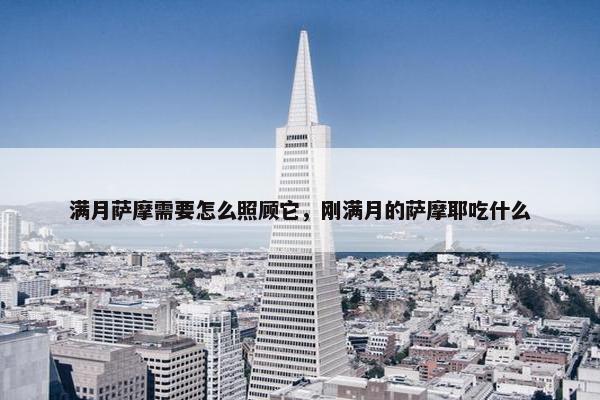 满月萨摩需要怎么照顾它，刚满月的萨摩耶吃什么