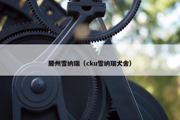 滕州雪纳瑞（cku雪纳瑞犬舍）