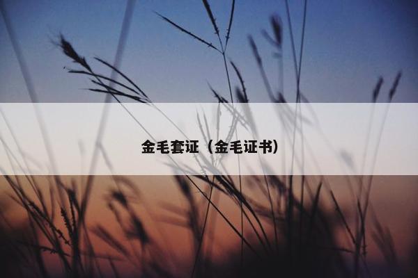 金毛套证（金毛证书）