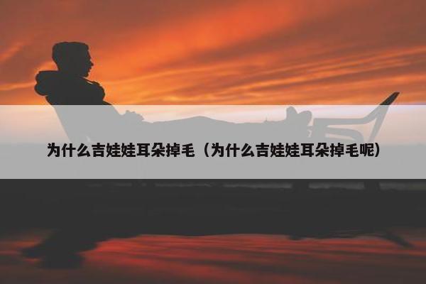 为什么吉娃娃耳朵掉毛（为什么吉娃娃耳朵掉毛呢）