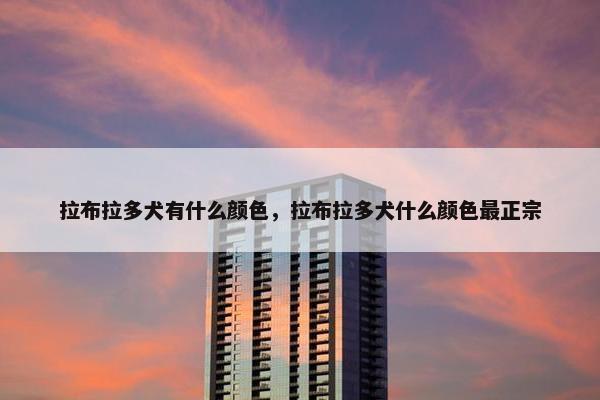 拉布拉多犬有什么颜色，拉布拉多犬什么颜色最正宗